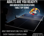 Adult Table Tennis